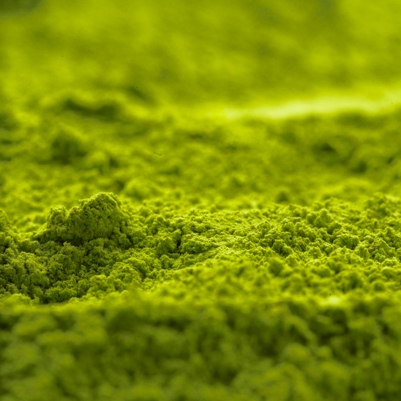 Matcha finement moulu, symbole des engagements Louva Matcha pour la pureté et la qualité