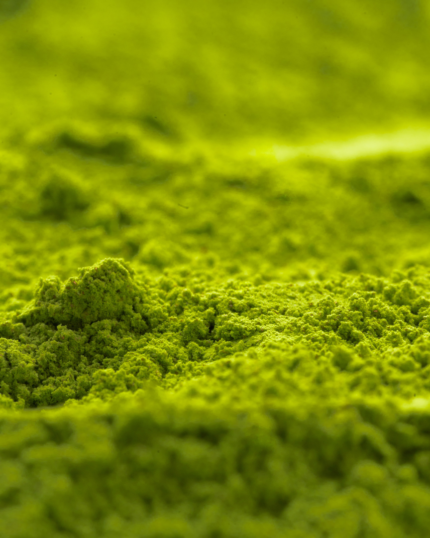 Matcha finement moulu, symbole des engagements Louva Matcha pour la pureté et la qualité