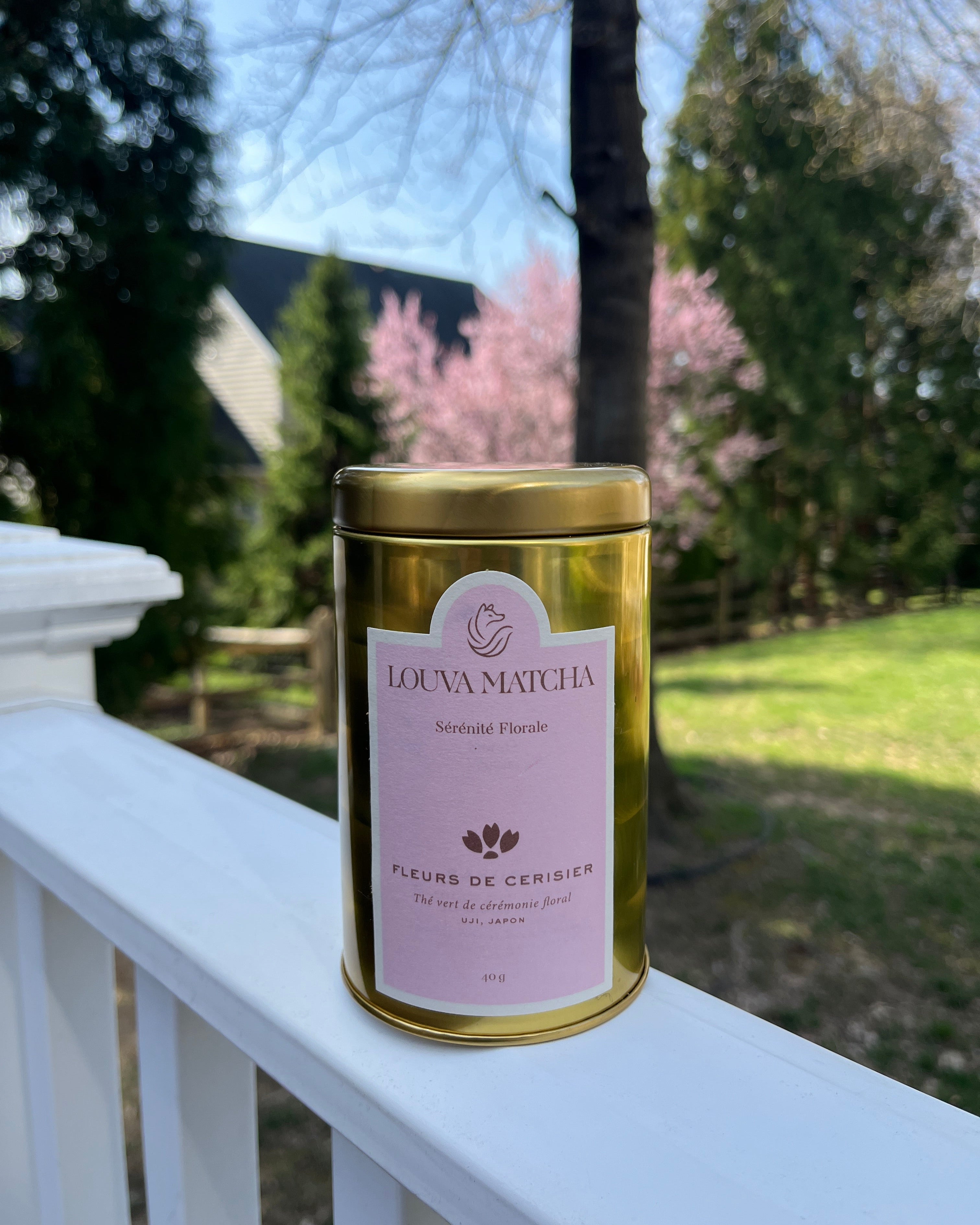 MATCHA FLEURS DE CERISIER